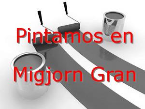 Pintor Palma Migjorn Gran